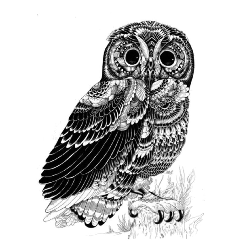 Owl Temporäre Tattoos Temporary Tattoos Klebetattoos Faketattoos Tattlook