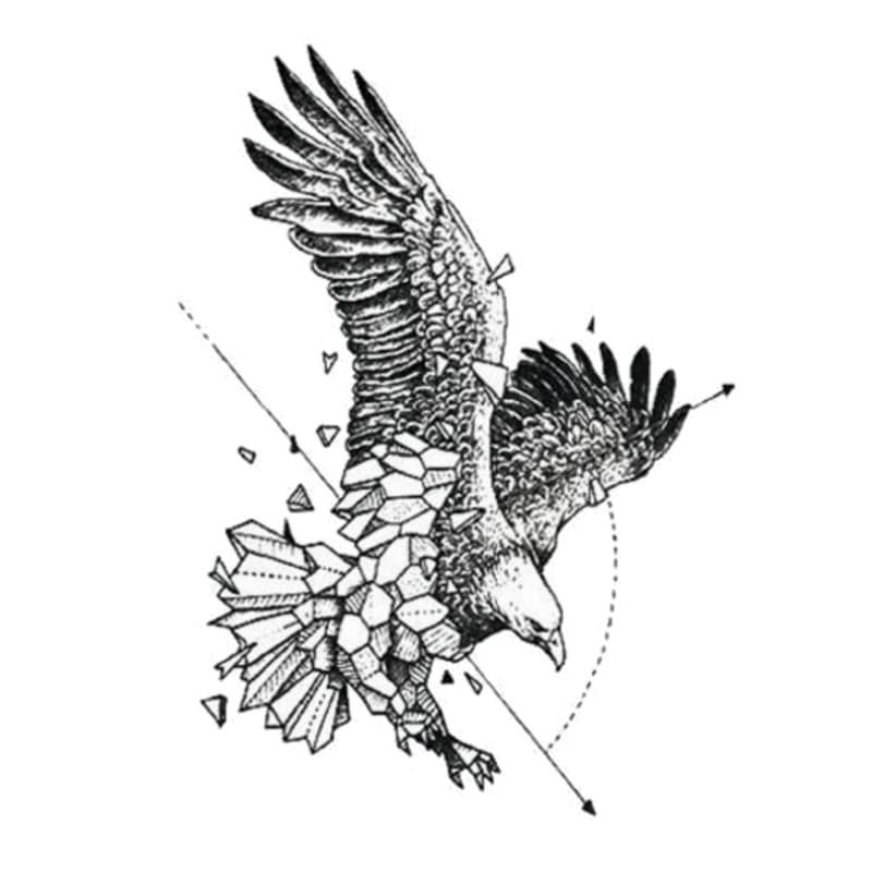 Eagle Temporäre Tattoos Temporary Tattoos Klebetattoos Faketattoos Tattlook