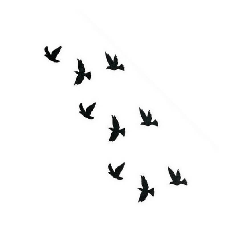 Freedom Temporäre Tattoos Temporary Tattoos Klebetattoos Faketattoos Tattlook